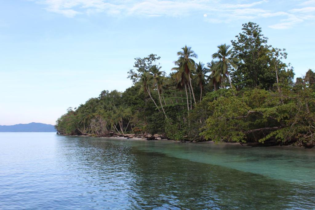 Waisai Resort | Scuba Republic Beach Bungalows