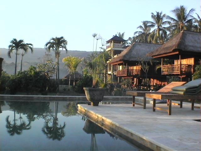Kaliasem Bed & Breakfast | Singko Lovina