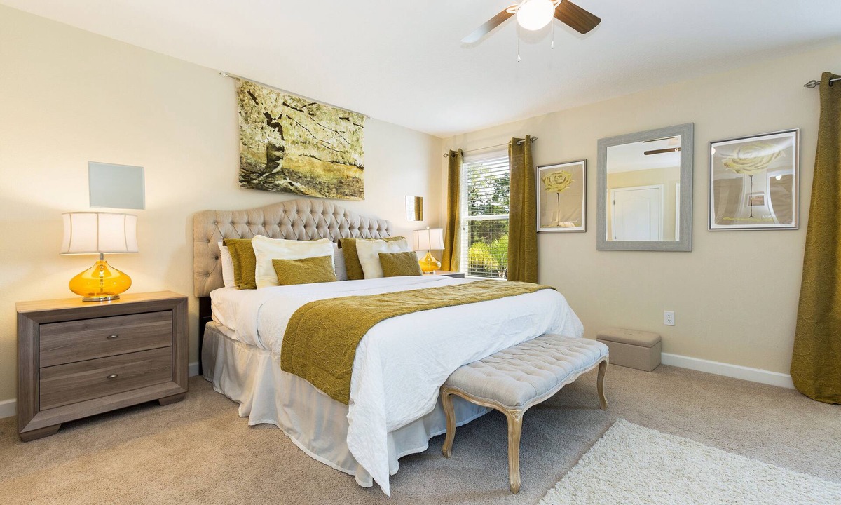 Sugar Palm | West Kissimmee