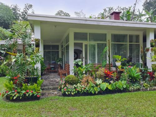 Ciloto House | The Forest Villa