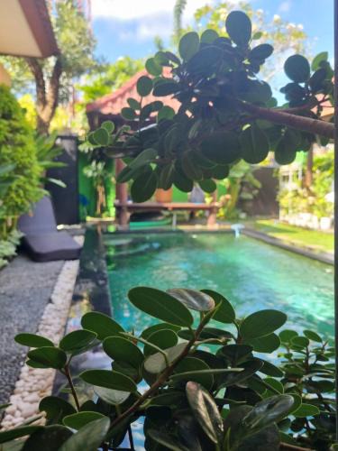 Sanur Kauh House | The Green Harmony Villa Homestay