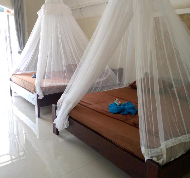 Bukit Lawang House | Tiga dara guest house & jungle trekking bukit Lawang