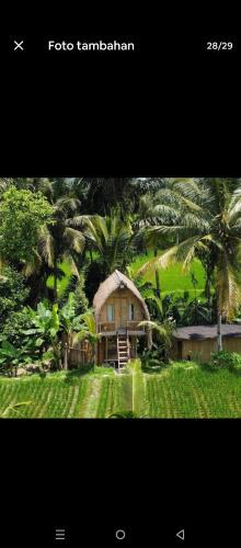 Sebatu House | tiny ECO bamboo house
