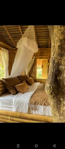 Sebatu House | Tree bamboo house