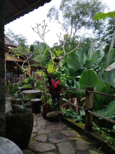 Tegallalang House | Umah mimpi