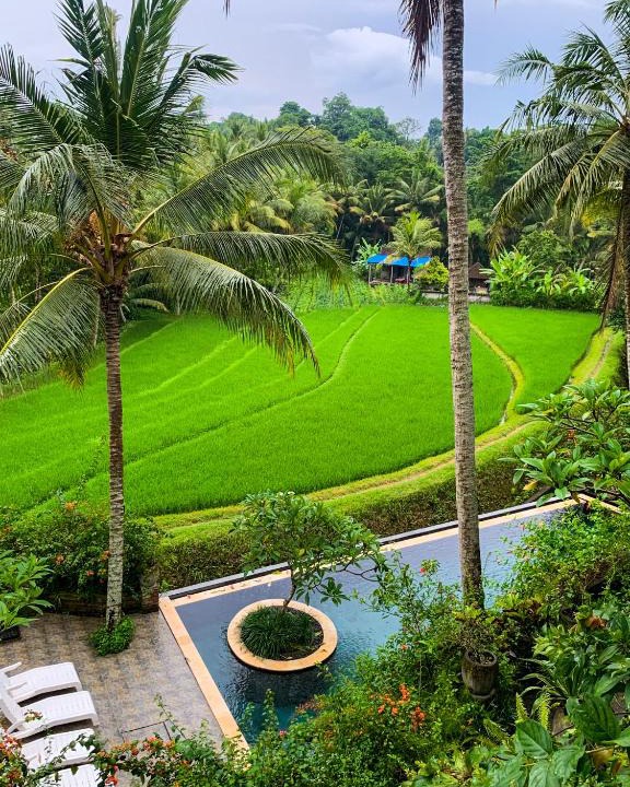 Umasari Rice Terrace Villa | Tabanan
