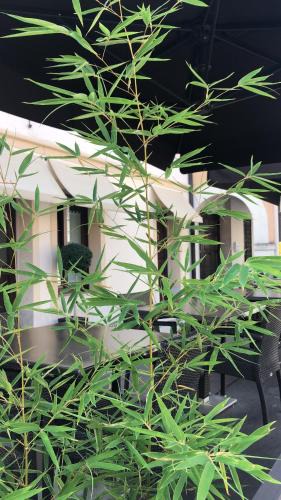 Portogruaro Bed & Breakfast | Valentino