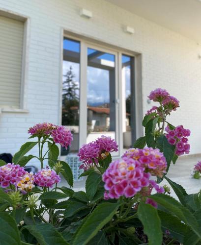 Marina di Pietrasanta Bed & Breakfast | Villa D Erna Marina di Pietrasanta