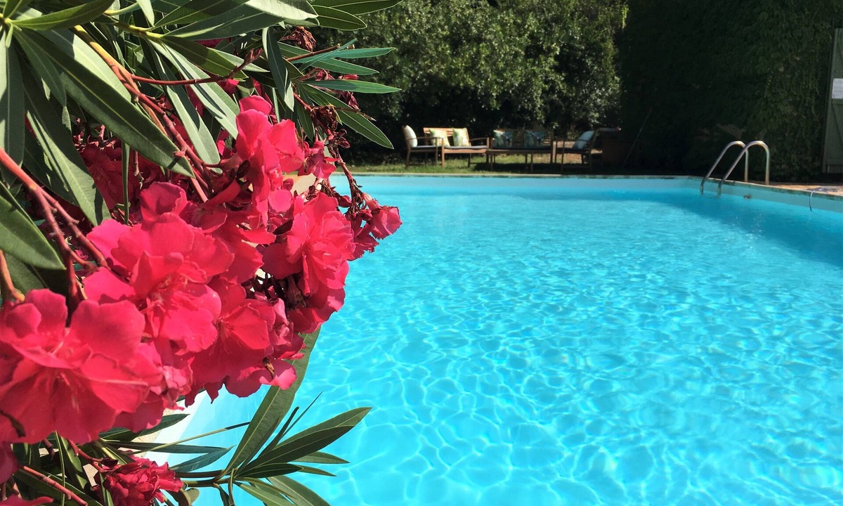 La Garde-Freinet House | Villa Fontane Provence