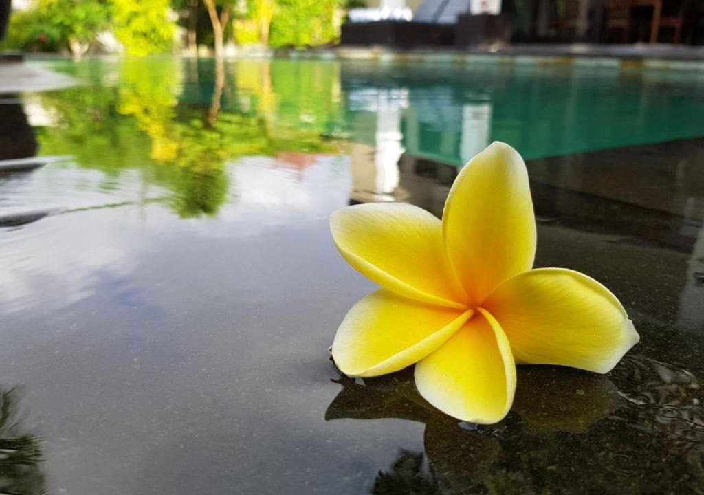 Mumbul Villa | Villa Horizon Nusa Dua