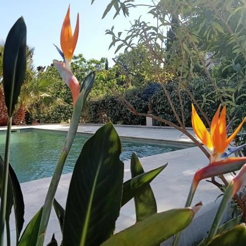 Sainte-Maxime - Saint-Tropez Villa | Villa La Croisette