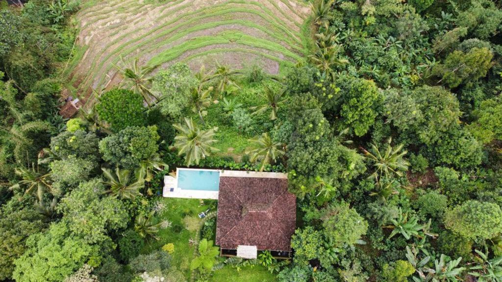 Penebel Villa | Villa Loti