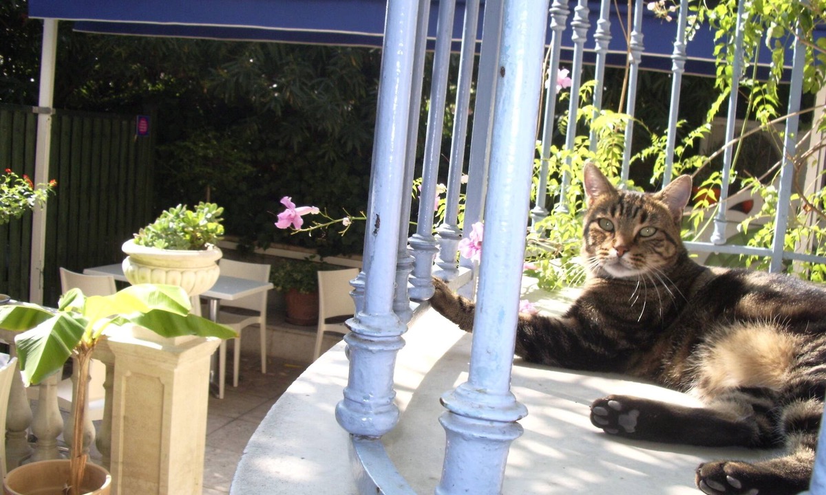 Liberation Hotel | Villa Saint Hubert