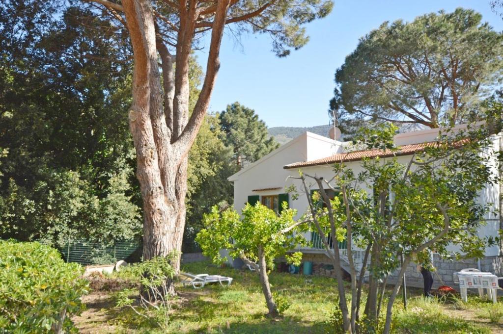 Marciana Marina Villa | Villetta Lucy