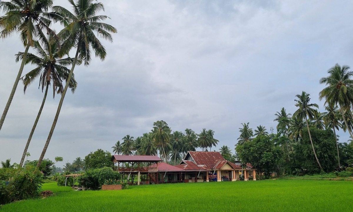 Payakumbuh Hotel | Wafaby Guest House