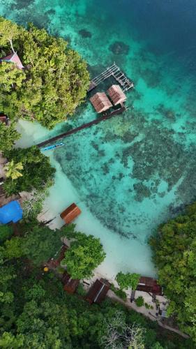 Yenbeser House | " Wobbegong Raja Ampat "