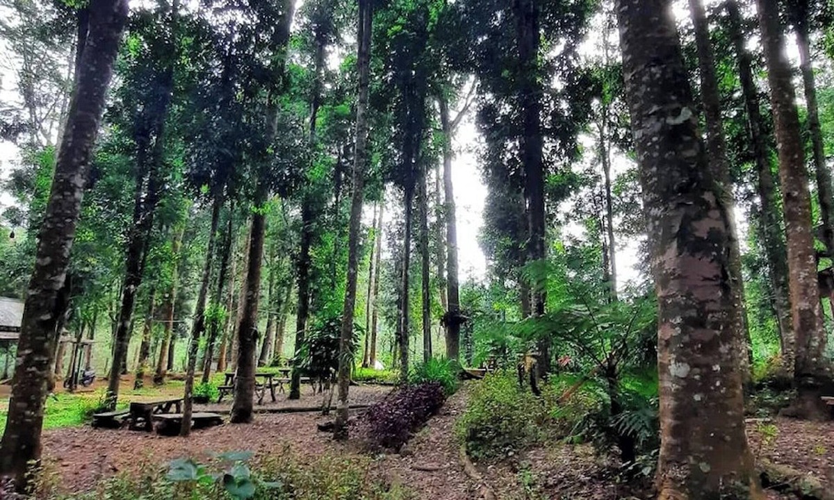 Pasirjambu Hotel | Youlien Campsite Bandung