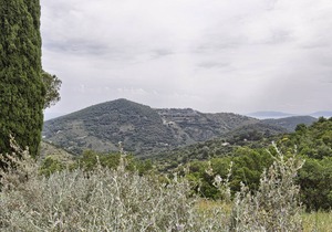360° panoramic view over Elba and the sea - Appartamenti Campo al Pero - 4