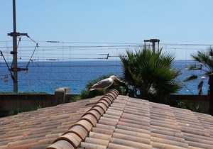 APARTMENT IN THE RIVER TO THE SEA IN CANNES