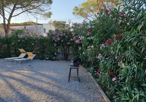 Appartamento Montecristo 1