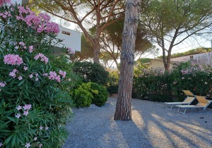 Appartamento Montecristo 1