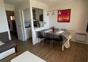 Beautiful terrace apartment with breathtaking sea view over the bay of cannes