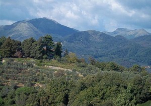 Caddelovi