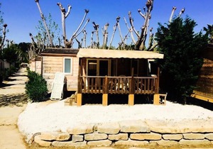 Camping Les Prairies de la Mer ***** - Exotic Lodge 4 Rooms 6 People