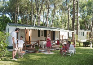 Chalet by the Sea & Shade