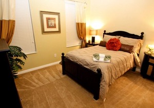 Contact Free Check In, Relax by Your Private Pool With Nature Preserve View, Come Stay With Us!