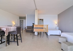 EDEN BEACH - Wonderful panoramic seaview for this spacious et seafront 2 ROOMS