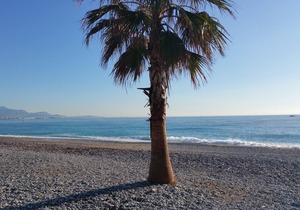 Family House 3 rooms Swimming pool Parking WIFI 2 kms Sea Villeneuve Loubet