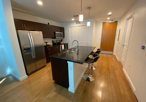 Gorgeous 1 Bedroom condo in Downtown Orlando