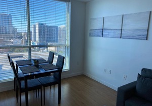 Gorgeous 1 Bedroom condo in Downtown Orlando