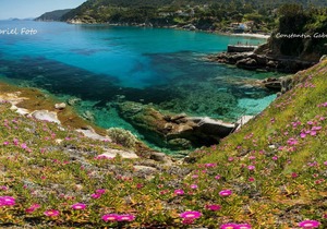 Holiday apartment with terrace and sea view - Denise 4
