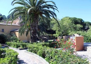 Holiday apartment Capoliveri for 2 - 3 persons with 1 bedroom - Holiday house