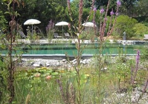 Holiday apartment Grimaud for 1 - 2 persons - Holiday house