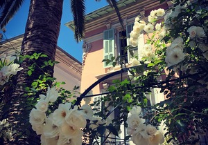 Hotel Villa Rose