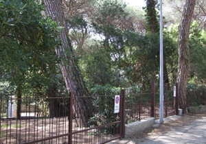 Holiday apartment Marina di Castagneto Donoratico for 1 - 2 persons - Holiday apartment