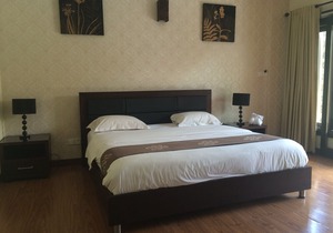 Large 4 Bedrooms villa, Seminyak