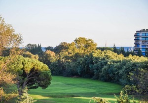 Les Golfeurs VII