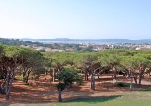 Les Pins Bleus
