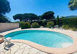 Les Pins Ensoleillés