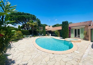 Les Pins Ensoleillés