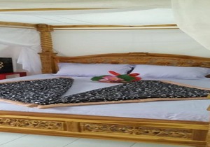 Lotus Guesthouse Sudaji: a natural and unique place in the North Bali.