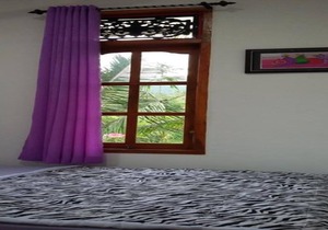Lotus Guesthouse Sudaji: a natural and unique place in the North Bali.