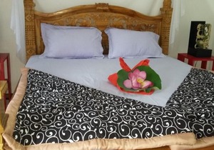 Lotus Guesthouse Sudaji: a natural and unique place in the North Bali.
