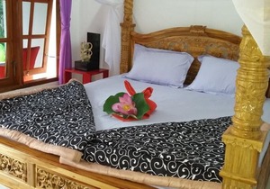 Lotus Guesthouse Sudaji: a natural and unique place in the North Bali.