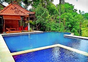 Lotus Guesthouse Sudaji: a natural and unique place in the North Bali.