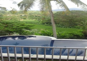 Lotus Guesthouse Sudaji: a natural and unique place in the North Bali.